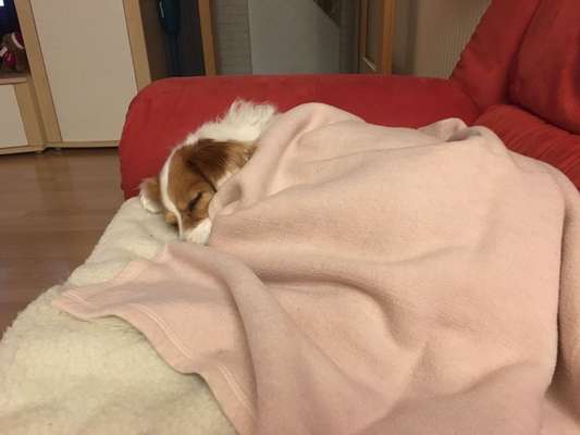 Die unbequemsten und lustigsten Schlafpositionen-Beitrag-Bild