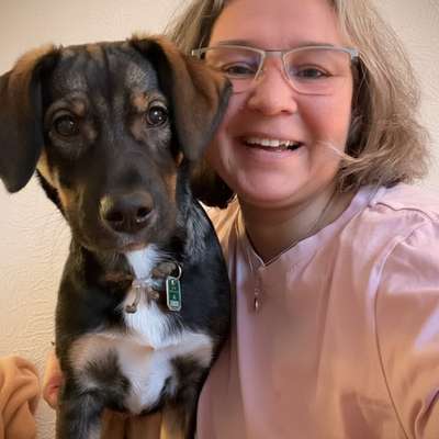 %{de_profession_title}-online Beratung-Bild