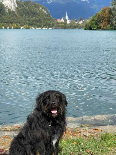 Dogorama Foto Challenge - Wanderziel-Beitrag-Bild