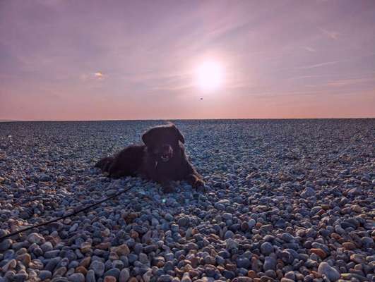 18. Farben Fotochallenge: Sonnenuntergang-Beitrag-Bild