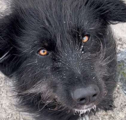 Handy-Foto Challange Nr. 10-Beitrag-Bild