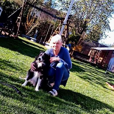 Hundetreffen-Nordendorf