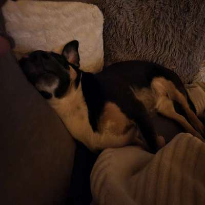 Die unbequemsten und lustigsten Schlafpositionen-Beitrag-Bild