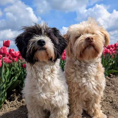 Johanna's Profilbild