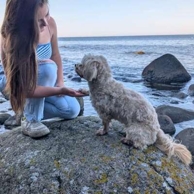 aktuelles Foto Gruppe Tiermodels