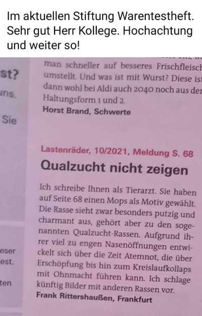 Brachycephale Hunderassen-Beitrag-Bild