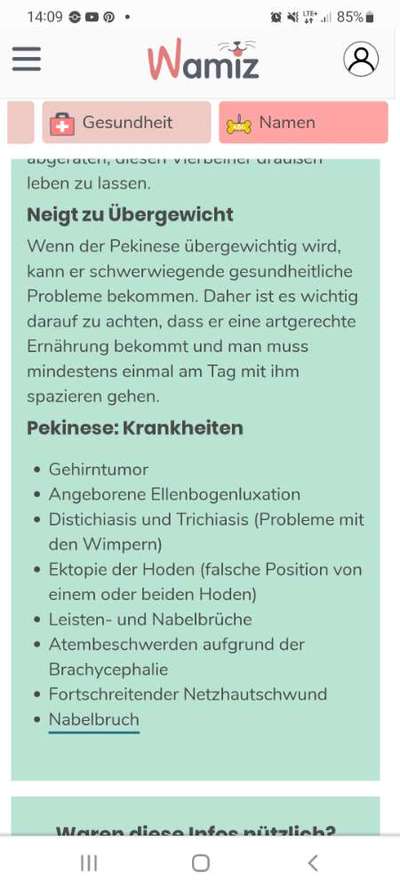 Brachycephale Hunderassen-Beitrag-Bild