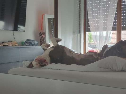 Die erste begrüßung am Morgen-Beitrag-Bild