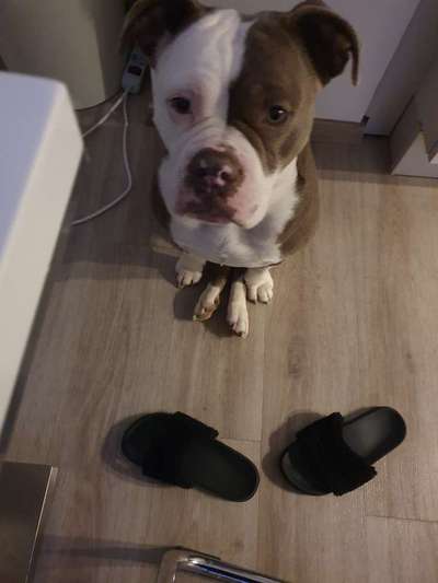 Bettel Blicke-Beitrag-Bild