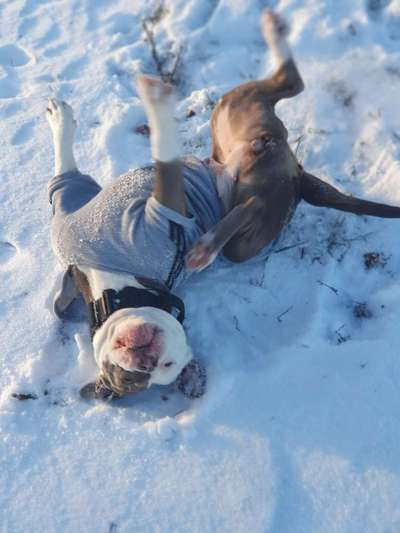 Der erste Schnee, zeigt uns eure tollen Schneemomente-Beitrag-Bild