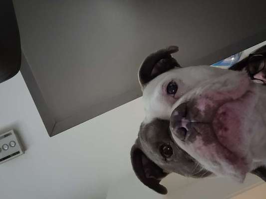 23. Handy Foto-Challenge-Beitrag-Bild