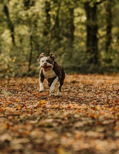 Fotochallenge 110: Lustige und schöne Schnappfotos-Beitrag-Bild