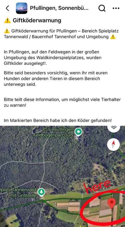 Giftköder-Giftköder in der Nähe vom Tannenwald-Bild