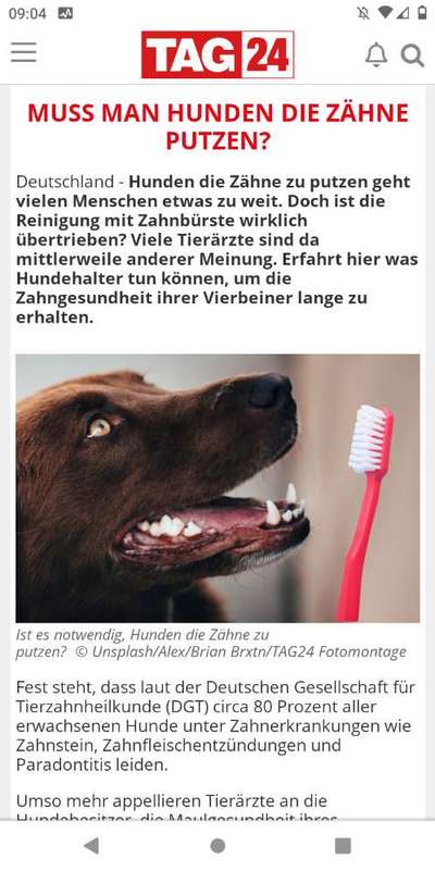 Zahnputzmittel-Was könnt ihr empfehlen?-Beitrag-Bild