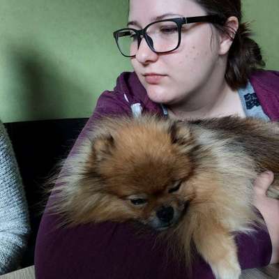 Hundetreffen-Kleinhunde treffen 🐶-Profilbild