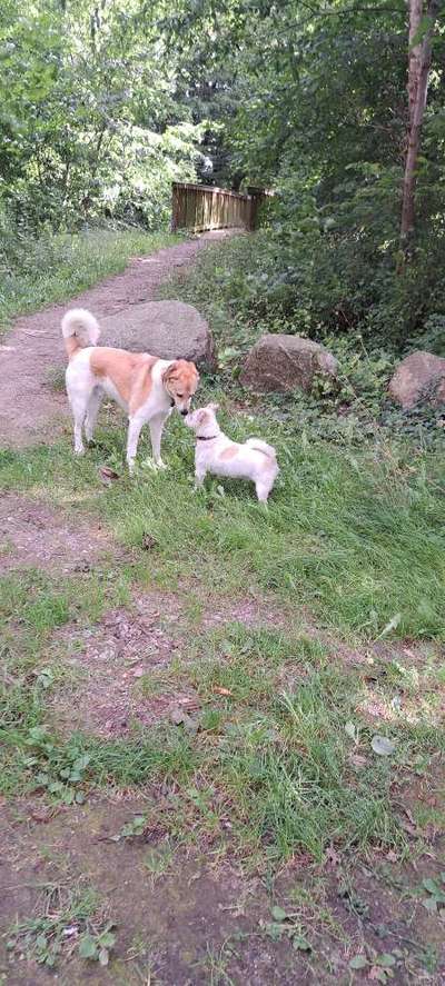 Was hat euch heute gefreut?-Beitrag-Bild