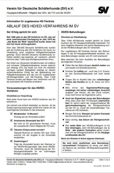 DSH vorprogrammiert für Gesundheitliche Probleme?-Beitrag-Bild