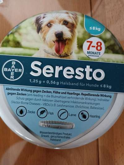 Floh und Zeckenmittel-Beitrag-Bild