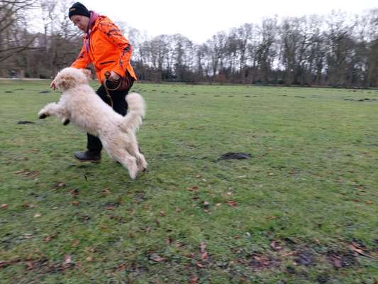 Challenge Nr. 16         Dynamik - Dein Hund in Bewegung-Beitrag-Bild
