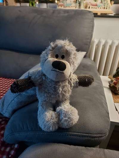 Hund frisst Stoff-Spielzeug-Beitrag-Bild