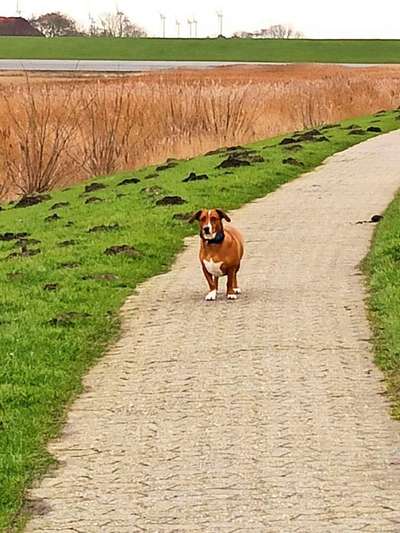 Doppelgänger gesucht !-Beitrag-Bild