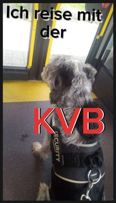 141. FOTO CHALLENGE 
Reisende soll man nicht aufhalten-Beitrag-Bild