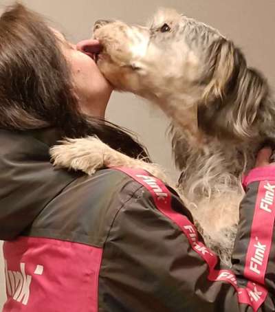 Dogorama Photo Challenge - Liebesbeweis-Beitrag-Bild