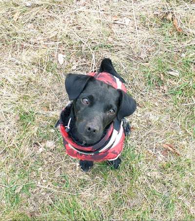 Von oben-Beitrag-Bild