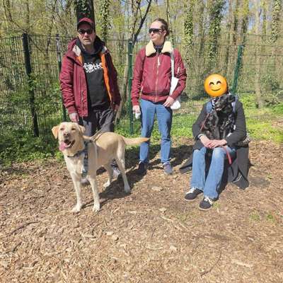 Hundetreffen-Neulindenauer Hunderunde-Bild