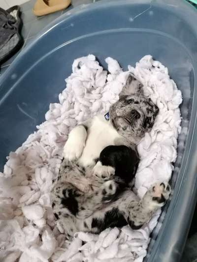 FOTO-Challenge  NR. 91: Die pure Entspannung-Beitrag-Bild