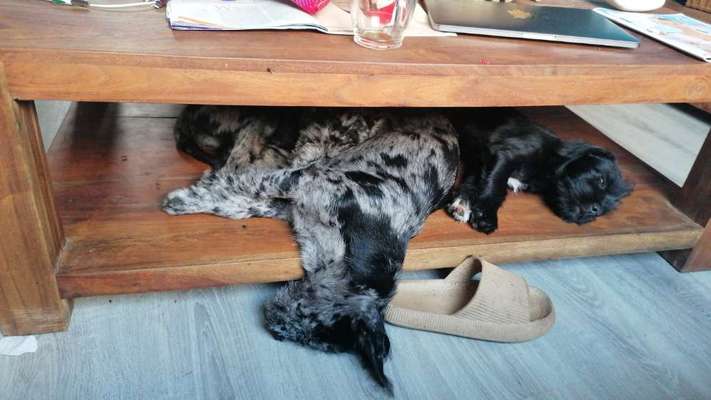 Handy-Foto-Challange Nr. 8-Beitrag-Bild