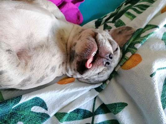 Handyfoto challenge Nr. 13: Waschlappen raus!-Beitrag-Bild