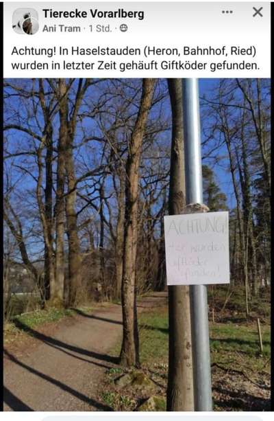 Giftköder-Vorarlberg Giftköder-Bild