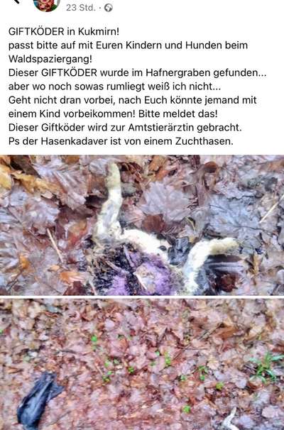 Giftköder-Giftköder-Bild