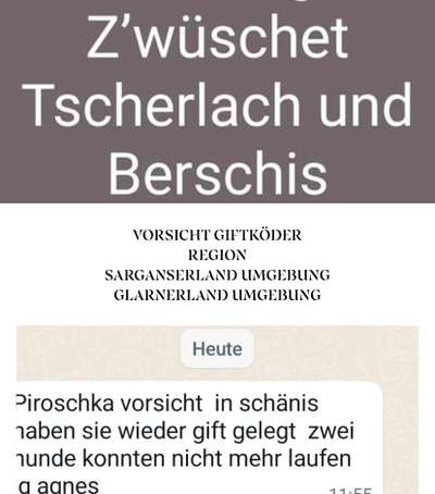 Giftköder-Giftköder-Bild