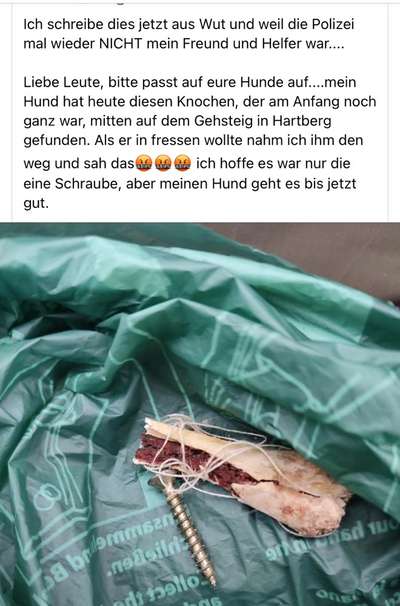 Giftköder-Knochen mit Schraube-Bild