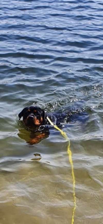 FOTOCHALLANGE NR.71 BADEFREUDE-Beitrag-Bild