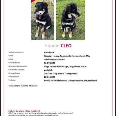 Suchmeldung-CLEO-Bild