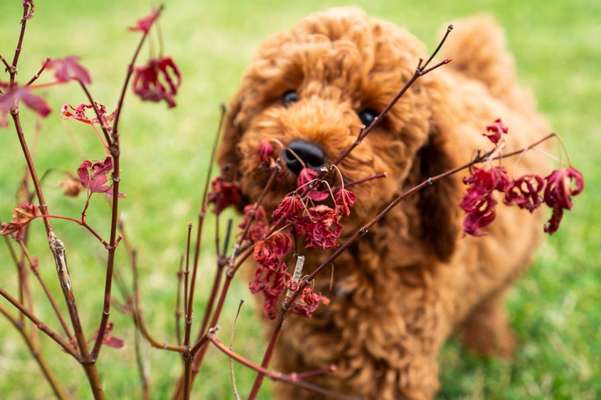 42.Fotochallenge - Eure schönen Momente beim Spaziergang-Beitrag-Bild