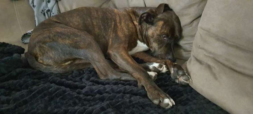 Die unbequemsten und lustigsten Schlafpositionen-Beitrag-Bild