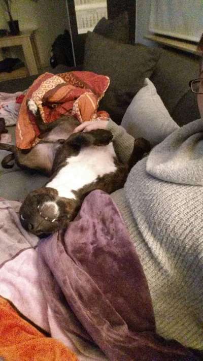 Die unbequemsten und lustigsten Schlafpositionen-Beitrag-Bild