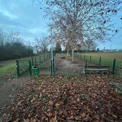 Hundetreffen-Neujahrs-Treffen-Bild