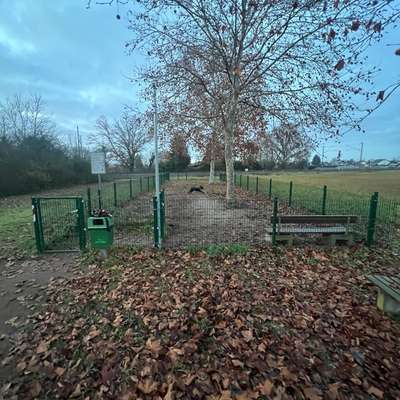 Hundeauslaufgebiet-Hundewiese Biblis-Bild