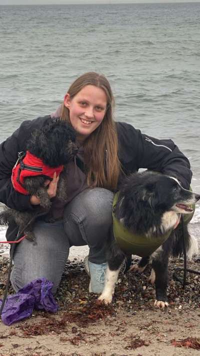 Hundetreffen-Trainingsspaziergänge Hundebegegnung-Bild