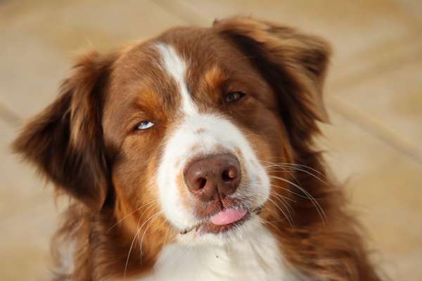 Handyfoto challenge Nr. 13: Waschlappen raus!-Beitrag-Bild