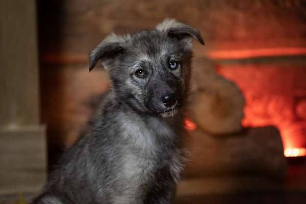 Austausch zur Fotografie-Beitrag-Bild