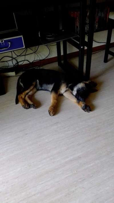 FOTO-Challenge  NR. 91: Die pure Entspannung-Beitrag-Bild