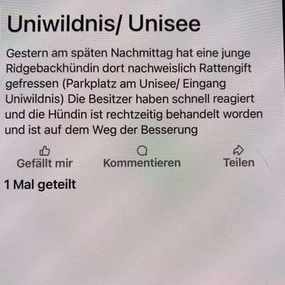 Giftköder-Rattengift am Unisee-Bild