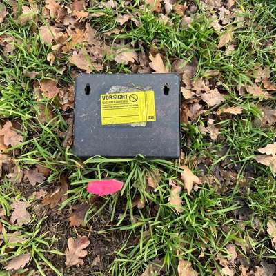 Giftköder-Rattengift ausgelegt-Bild