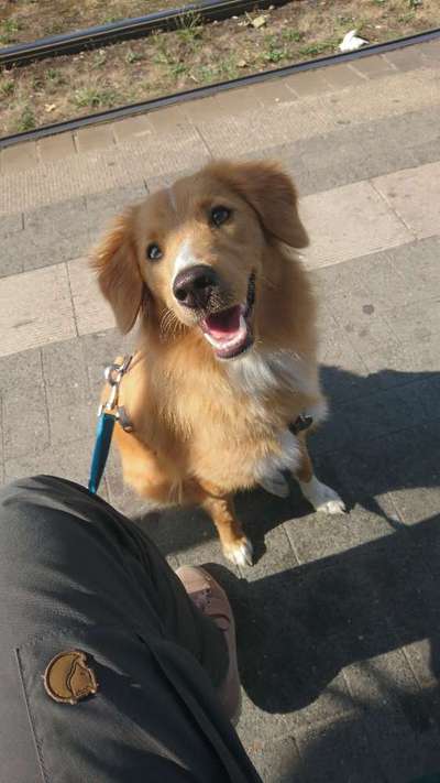 Ist das ein...?-Beitrag-Bild